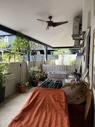 Leith Park (D19), Terrace #557822061